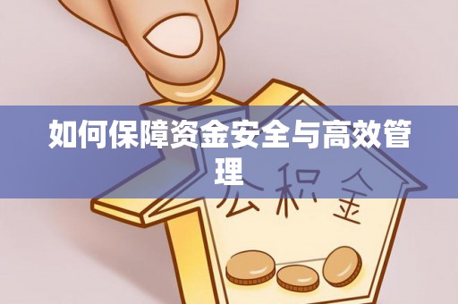沈河如何保障资金安全与高效管理