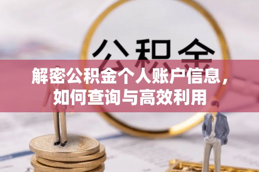 沈河解密公积金个人账户信息，如何查询与高效利用