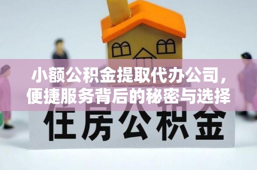 沈河小额公积金提取代办公司，便捷服务背后的秘密与选择指南