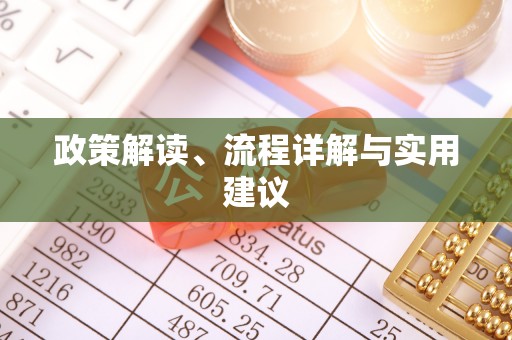 沈河政策解读、流程详解与实用建议