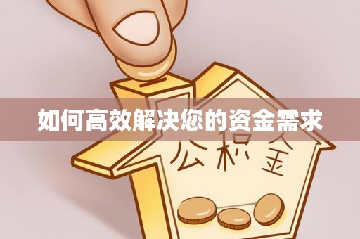 沈河如何高效解决您的资金需求